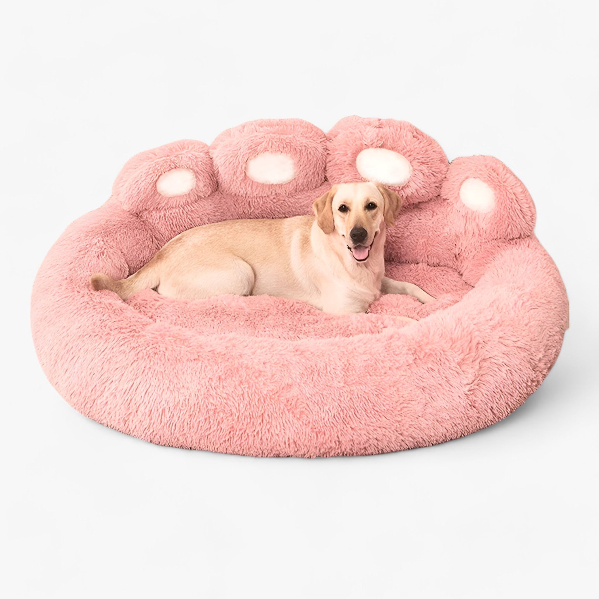 Poltrona Letto per Animali - Posto Ideale per Coccole per i Vostri Cuccioli e Gatti Uomo - - animali coccole cuccioli gatti letto pet pets & supplies poltrona poltrona letto - Concept Palermo